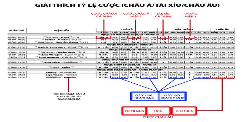 Giải thích tỷ lệ kèo chấp châu Á 2024