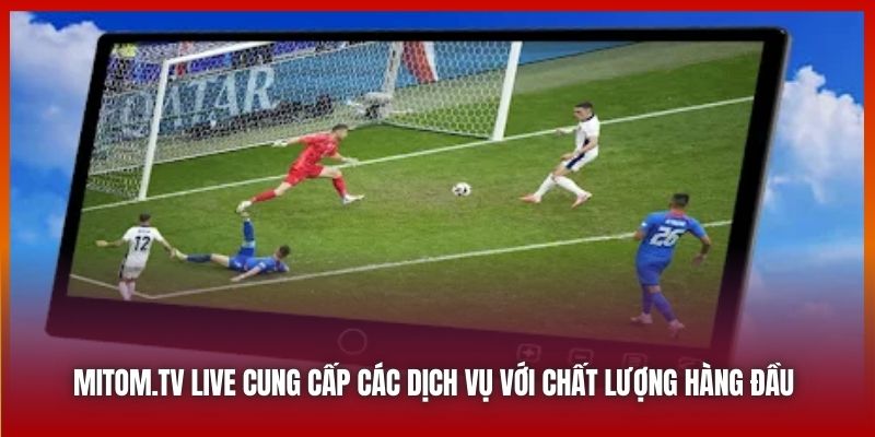 Mitom.tv Live cung cấp các dịch vụ với chất lượng hàng đầu